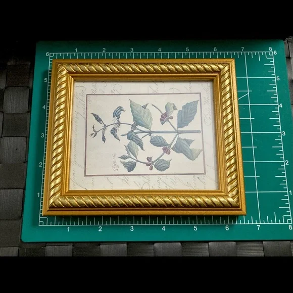 Vintage Custom Framed Botanical Illustration Print Coffee Tree - Picture 2 of 11